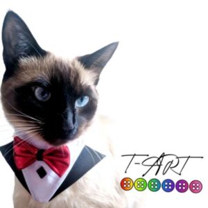 Smoking Gato | Trajes para mascotas T-ART